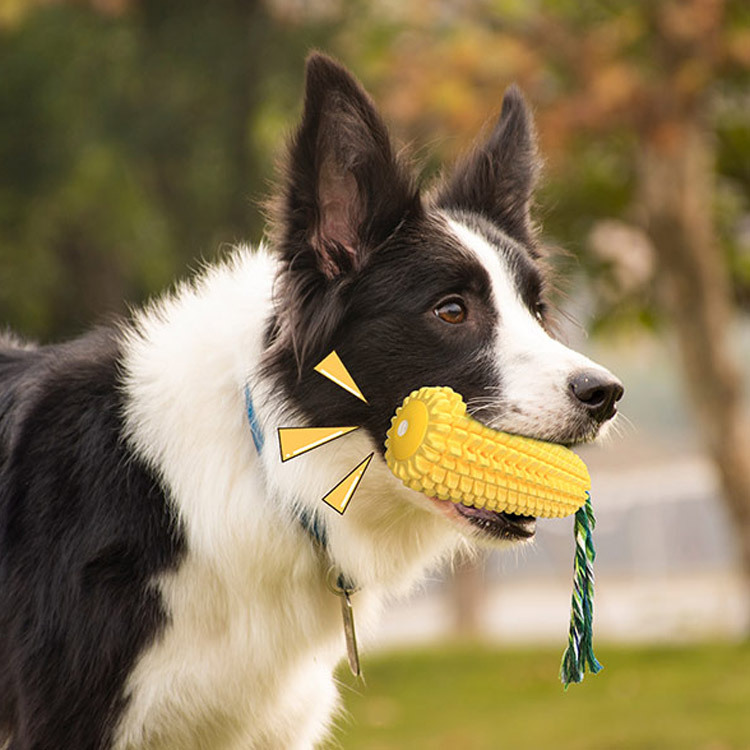 Popular Durable Rubber Corn Do - огляд і ціна Corn Dog Stick
